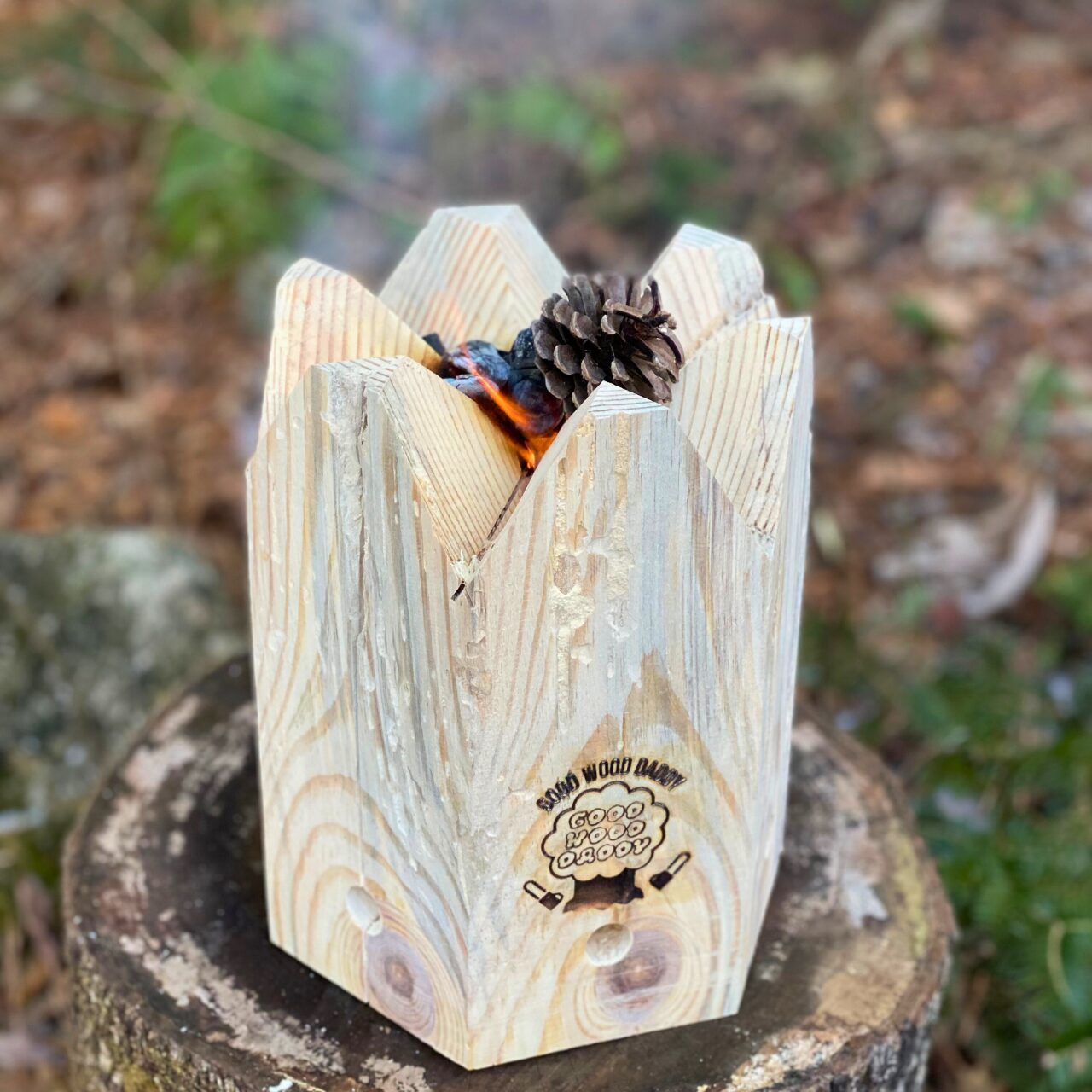 グリーンシェフ - 画像 (2)