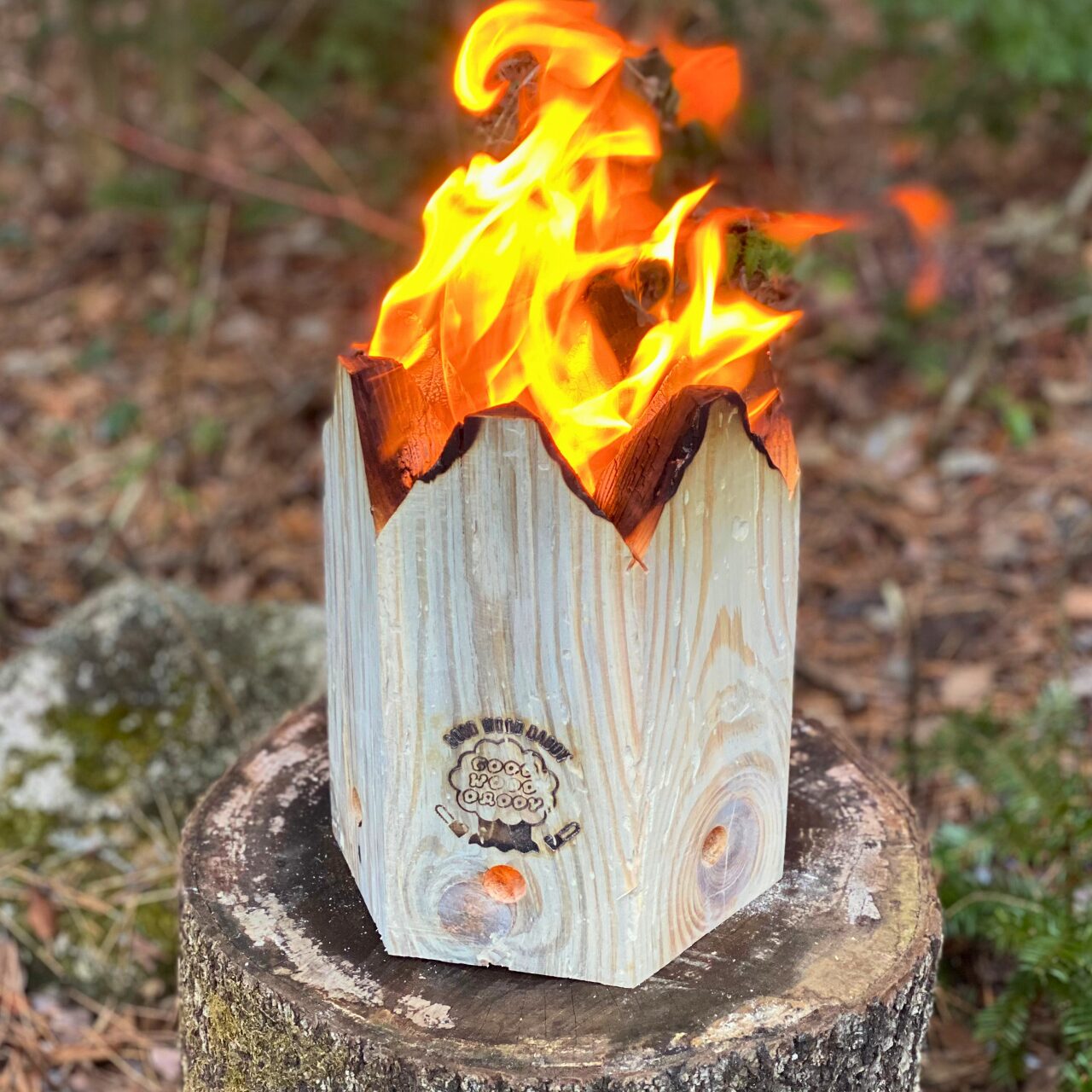 グリーンシェフ - 画像 (3)