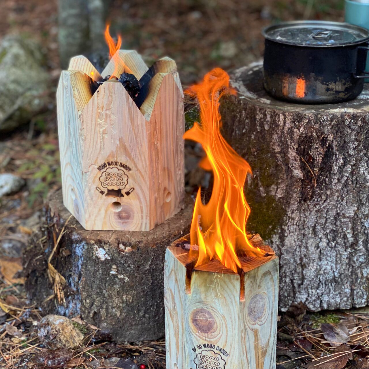 グリーンシェフ - 画像 (6)